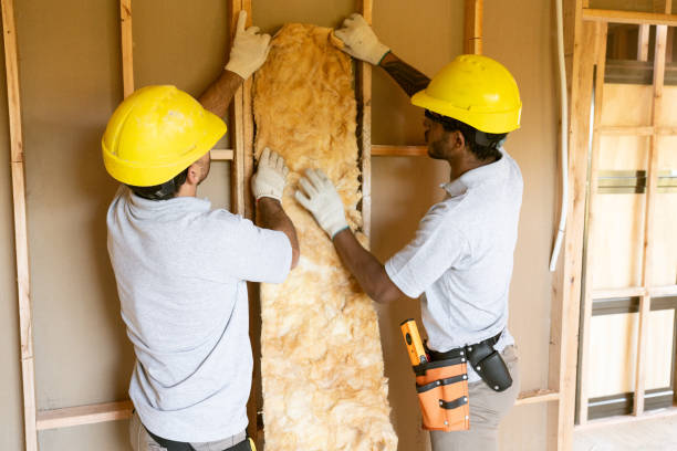 Best Soundproof Insulation  in Princeton, KY